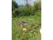 Teren de vanzare slatina 930517 poza 6
